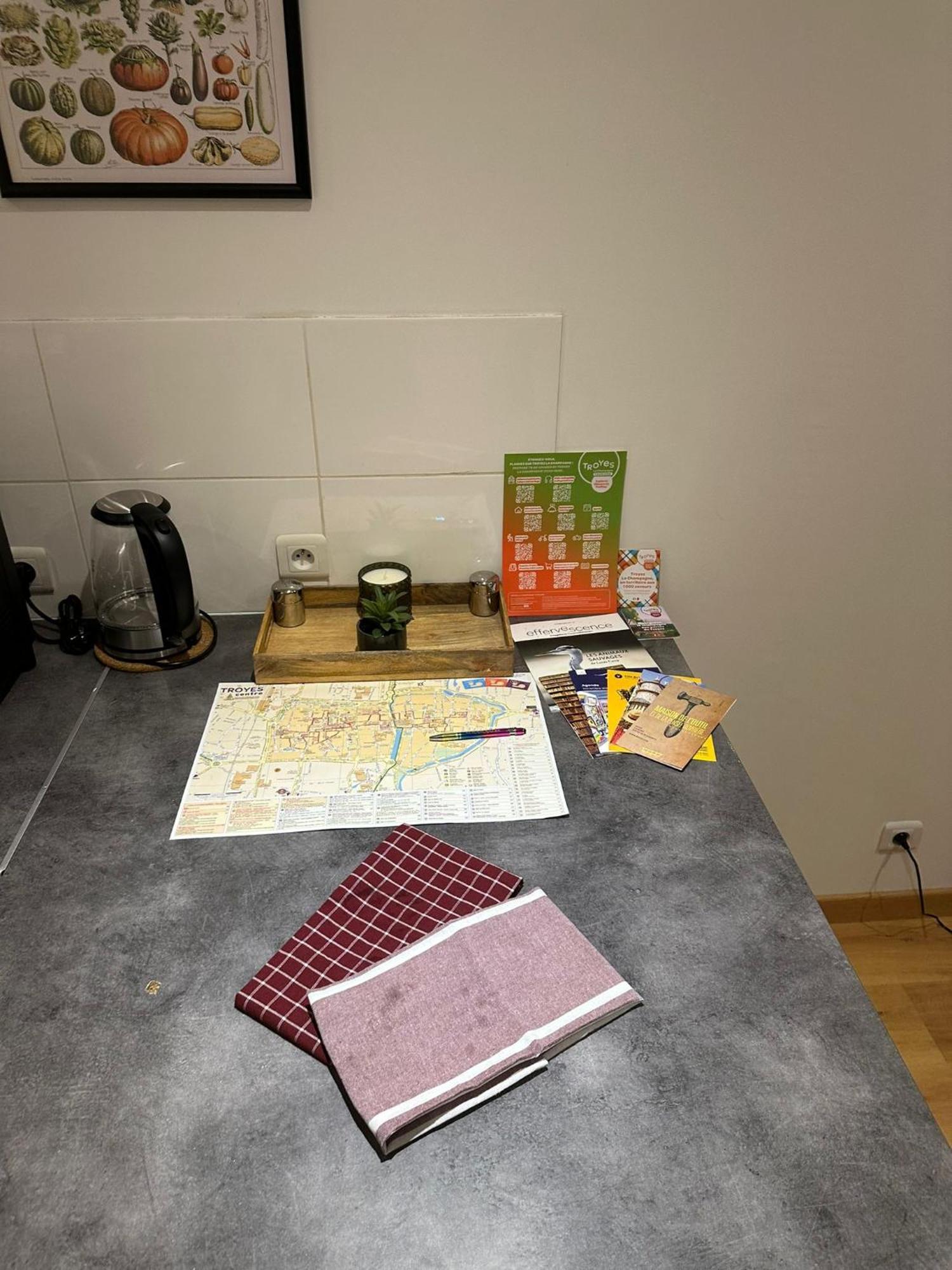 Apartament La Sapiniere Troyes Zewnętrze zdjęcie